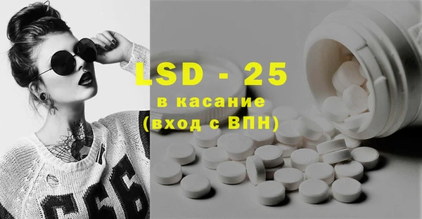 стаф Алексин
