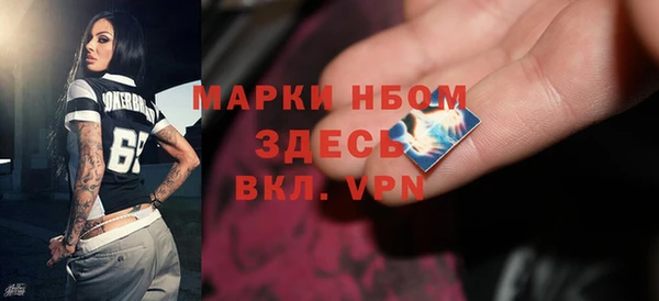 стаф Алексин
