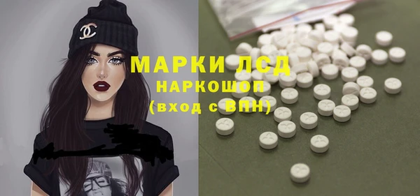 стаф Алексин