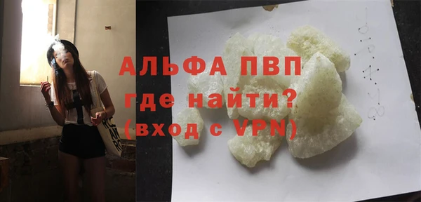 стаф Алексин