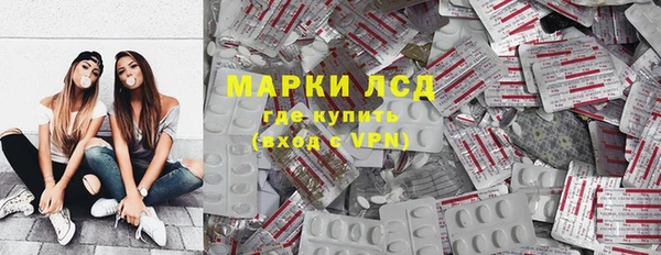 стаф Алексин