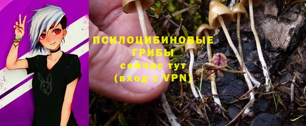 ешки Алзамай